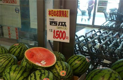 吃瓜论坛网,网络舆论场上的“瓜田”盛景