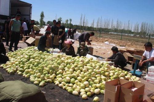 网红带货吃瓜搞笑视频,吃瓜搞笑视频盘点