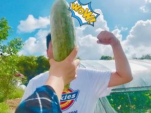 网红学霸吃瓜图片,揭秘学霸日常趣味一面